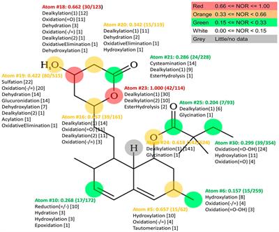 Bioaccumulation and biotransformation of simvastatin in probiotic bacteria: A step towards better understanding of drug-bile acids-microbiome interactions